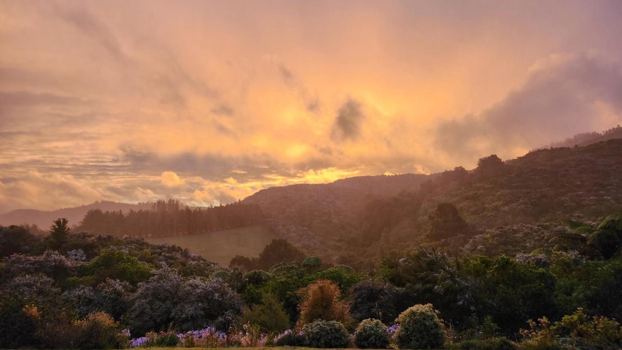 Hotel Boutique Art Retreat Upper Hutt Exterior foto